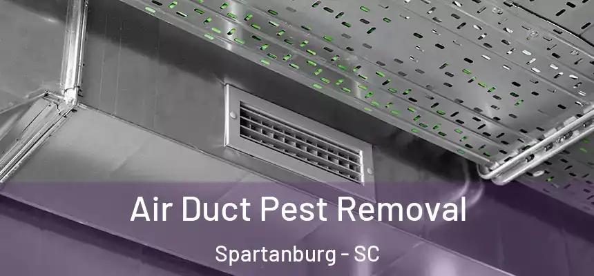  Air Duct Pest Removal Spartanburg - SC