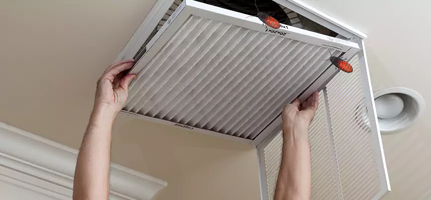 Our Insect Removal from Air Ducts Services in Spartanburg, SC