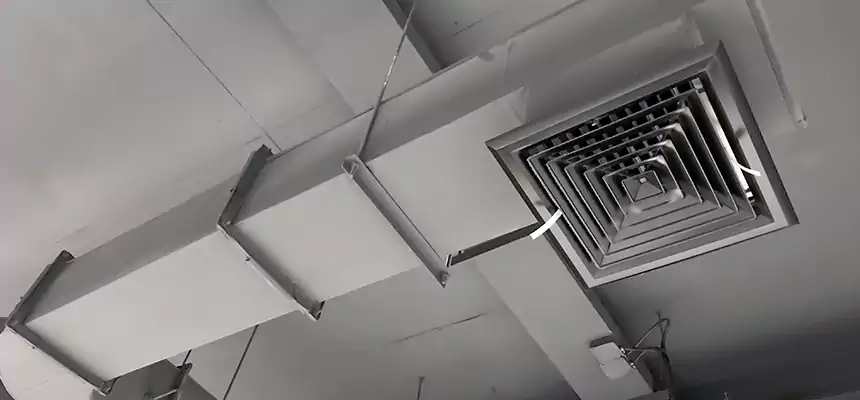 Our Pest Removal From Ducts Services in Spartanburg, SC