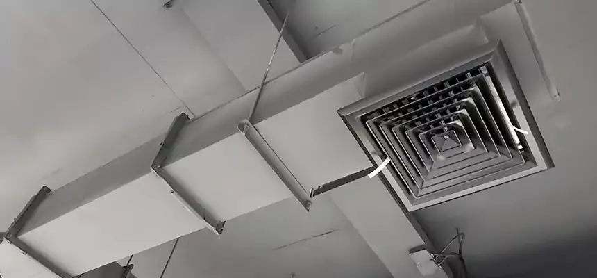 Our Rodent Droppings In Vents Services in Spartanburg, SC