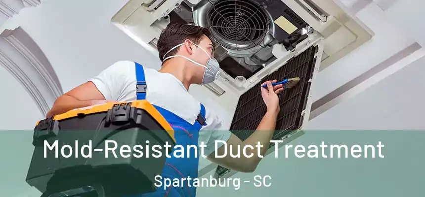  Mold-Resistant Duct Treatment Spartanburg - SC
