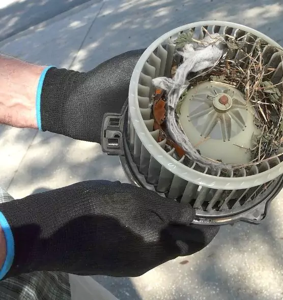 About Air Duct Rat Removal in Spartanburg, SC