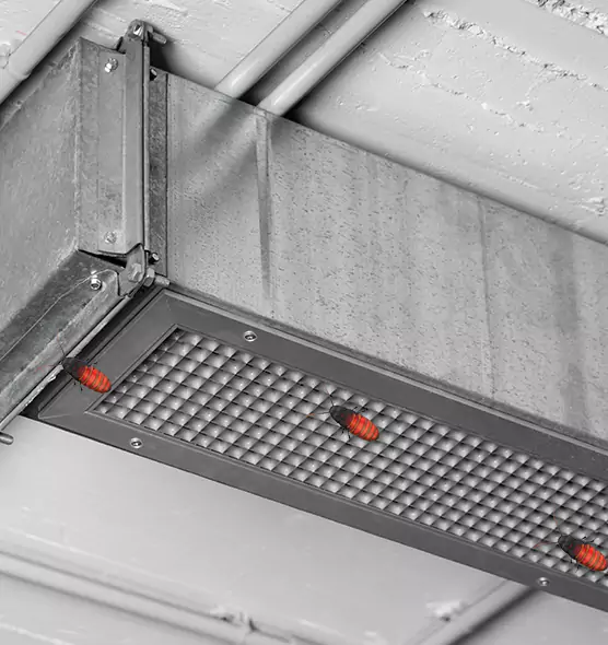 Affordable Insect Removal from Air Ducts in Spartanburg, SC