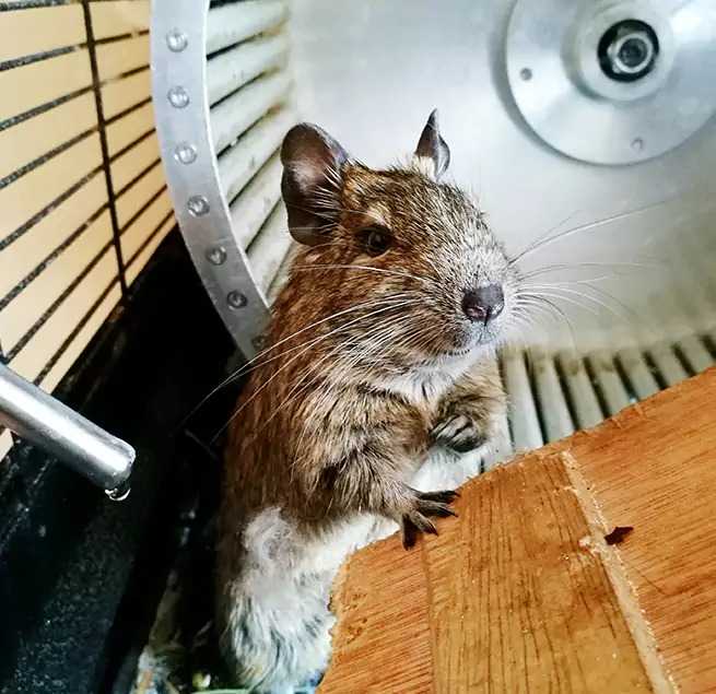 Why Homeowners & Businesses Trust Us Spartanburg, SC?