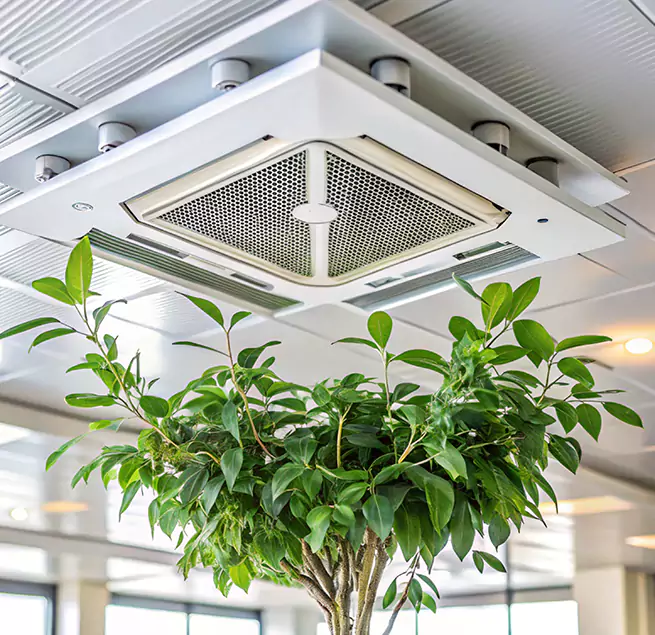 Why Homeowners & Businesses Trust Us in Spartanburg, SC