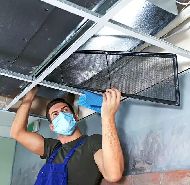 Why Homeowners Businesses Trust Us in Spartanburg, SC